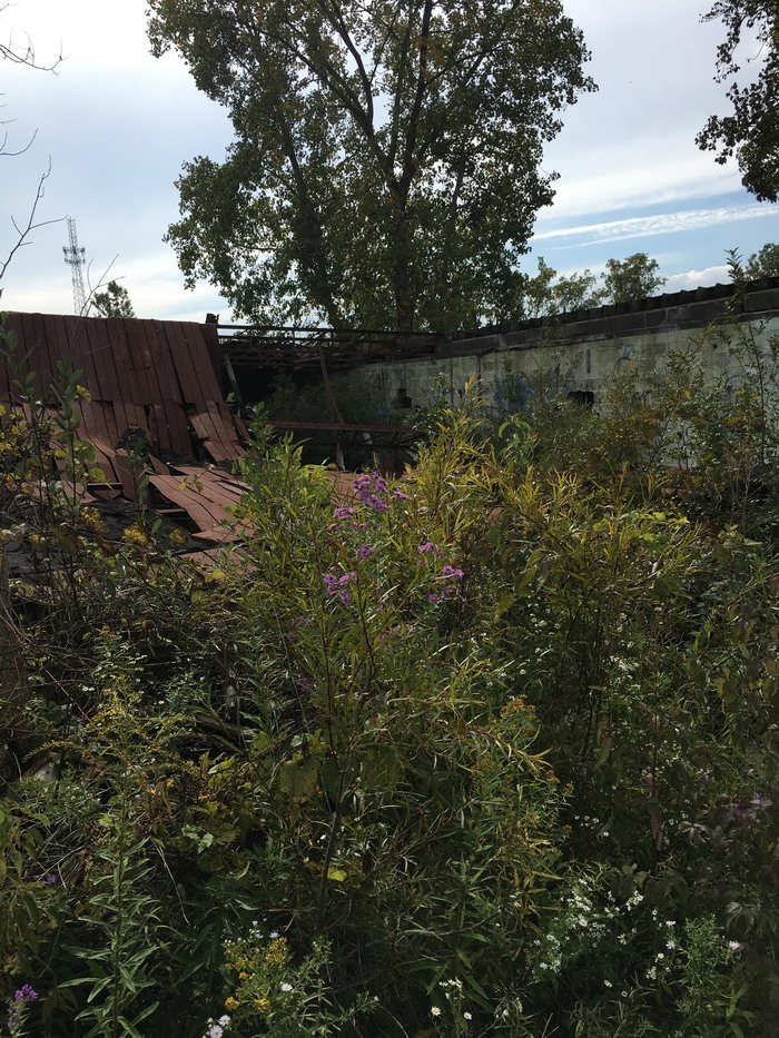 Denniston Drive-In Theatre - Oct 1 2016 Photo